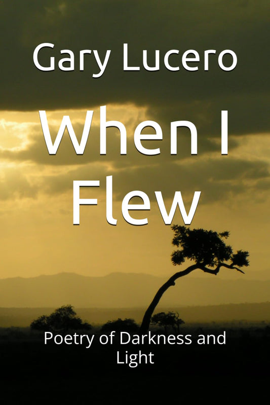 When I Flew: Introspective Poetry of Darkness, and to a Lesser Extent, Light - 9362