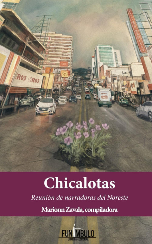 Chicalotas: Reunión de narradoras del Noreste (Spanish Edition)