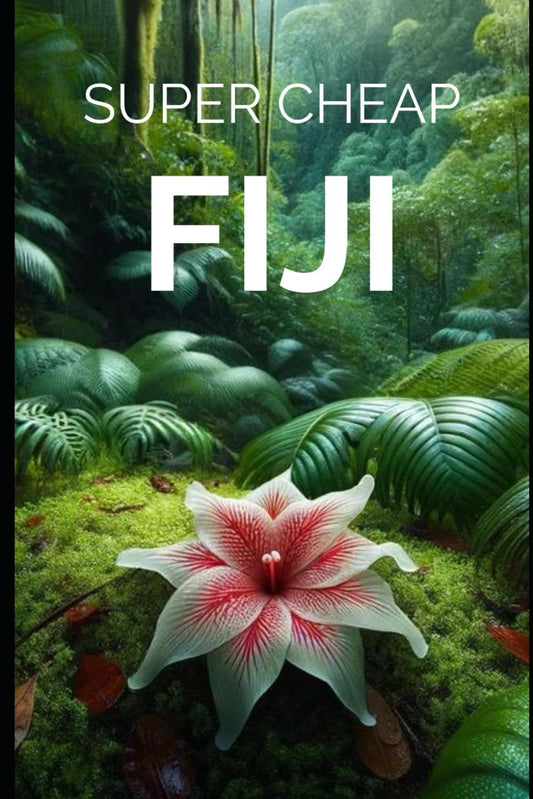 Super Cheap Fiji Travel Guide: Enjoy a $5,000 trip to Fiji for $500 (BUDGET TRAVEL GUIDE 2025 - Super Cheap Guides 2025) - 2884