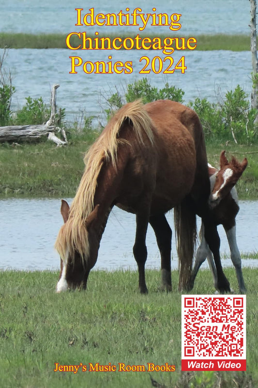 Identifying Chincoteague Ponies 2024