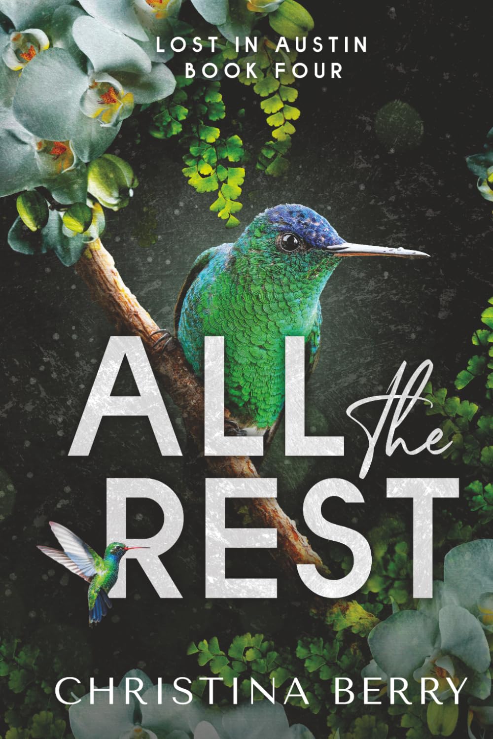 All the Rest: Lost in Austin Book 4