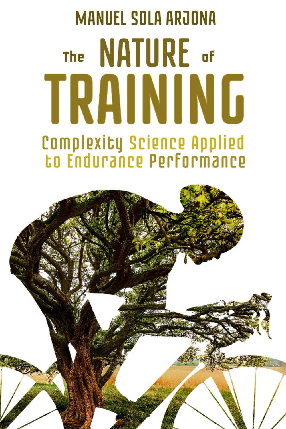 The Nature of Training: Complexity Science Applied to Endurance Performance