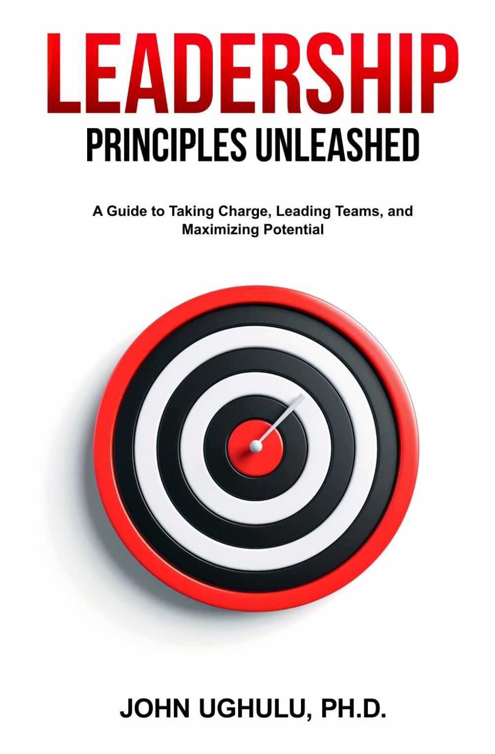 Leadership Principles Unleashed: A Guide to Taking Charge, Leading Teams, and Maximizing Potential
