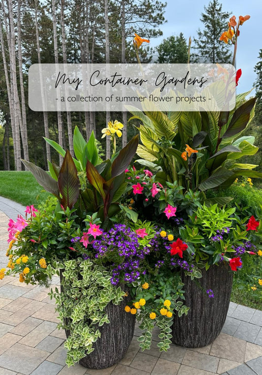 My Container Gardens: A Collection of Summer Flower Projects