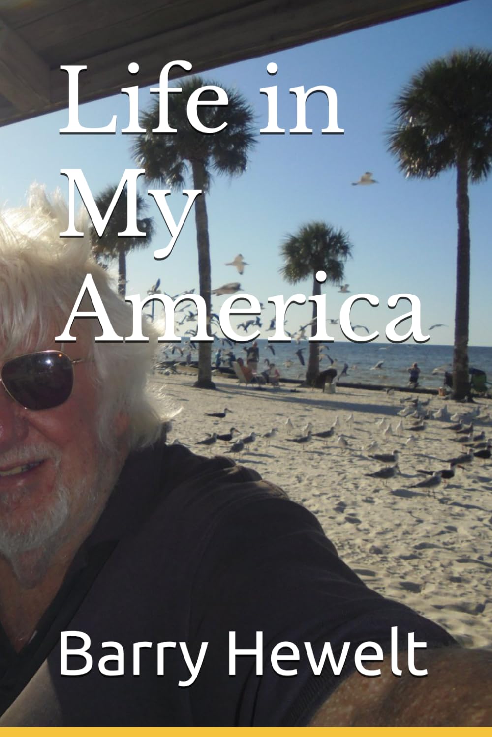 Life in My America