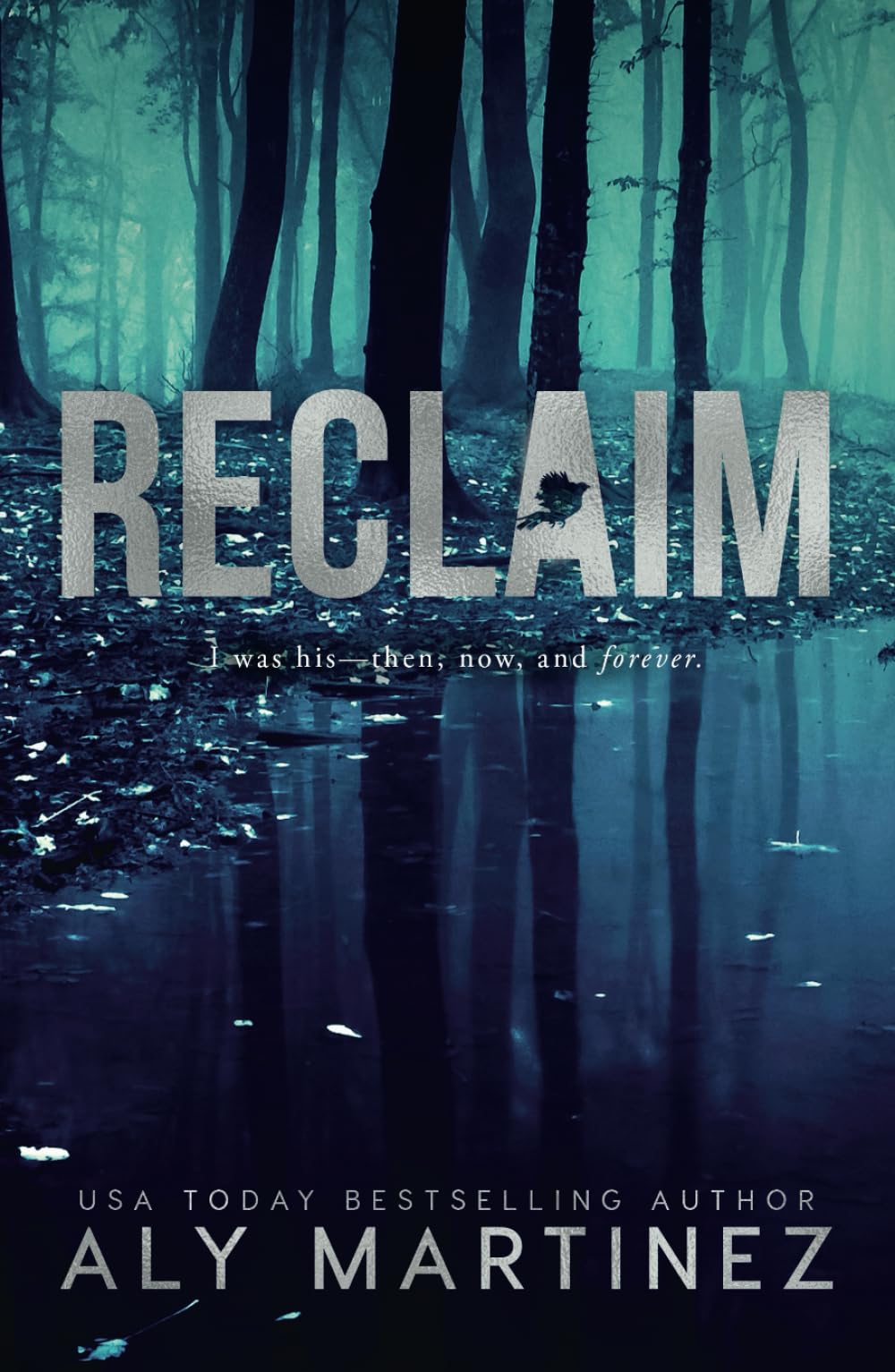 Reclaim (The Release Series) - 6399