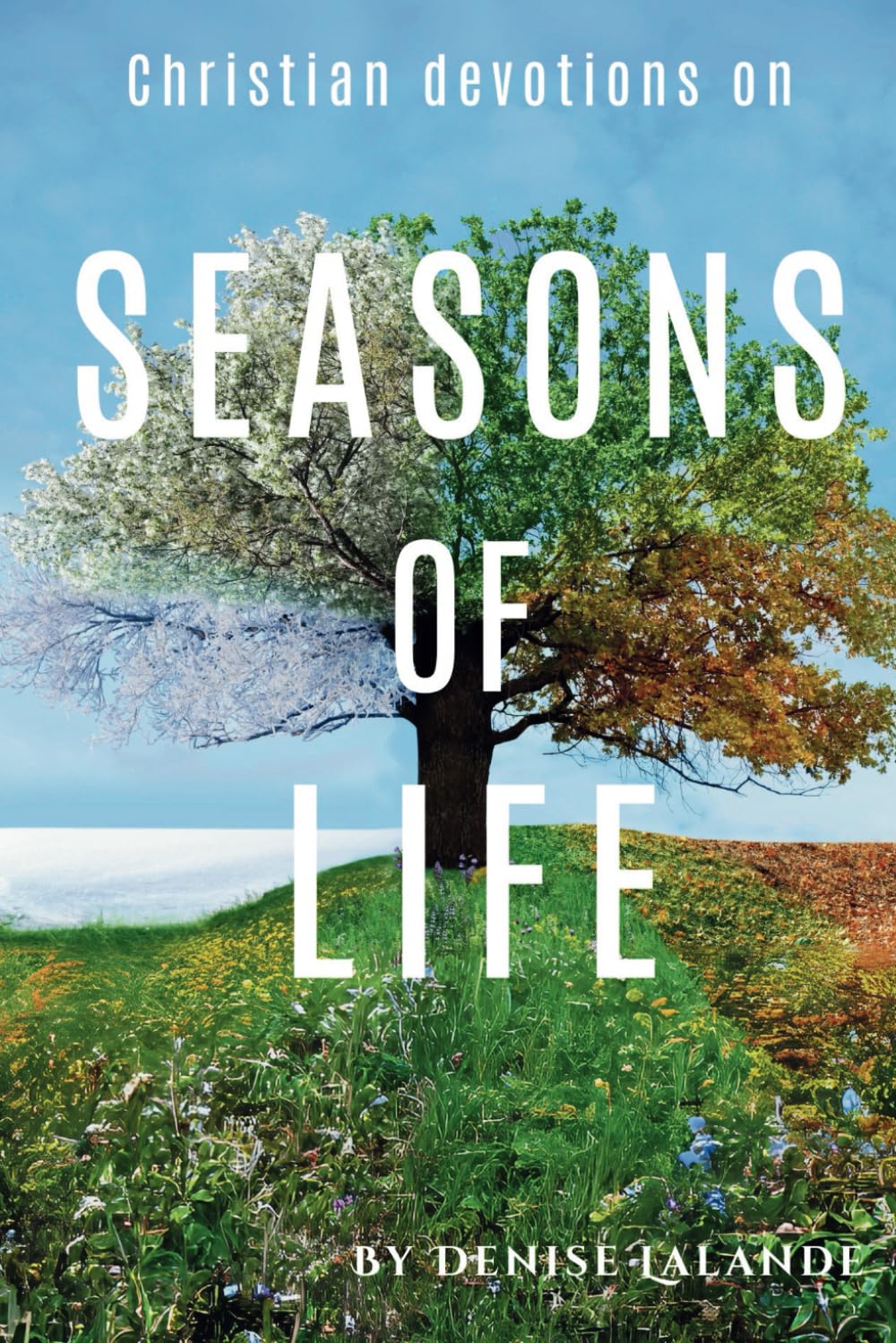 Seasons of Life: Christian Devotions Bringing You Encouragement, Hope, and Humor During Seasons of Life - 9149