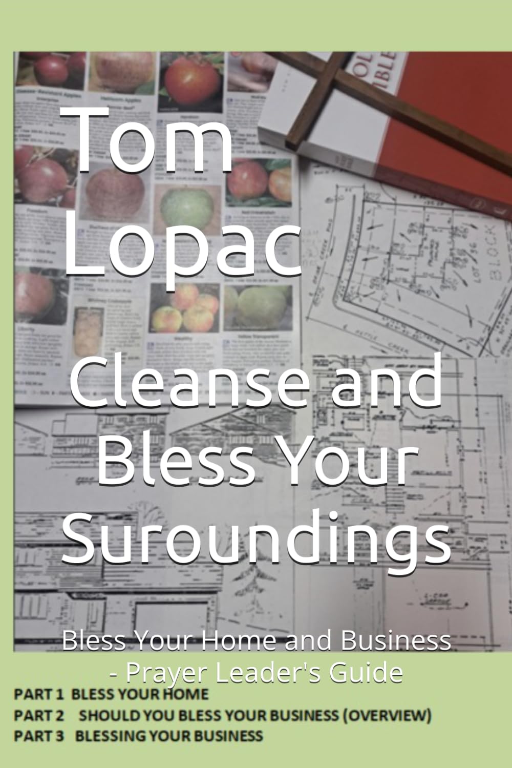 Cleanse and Bless Your Suroundings: Bless Your Home and Business - Prayer Leader's Guide