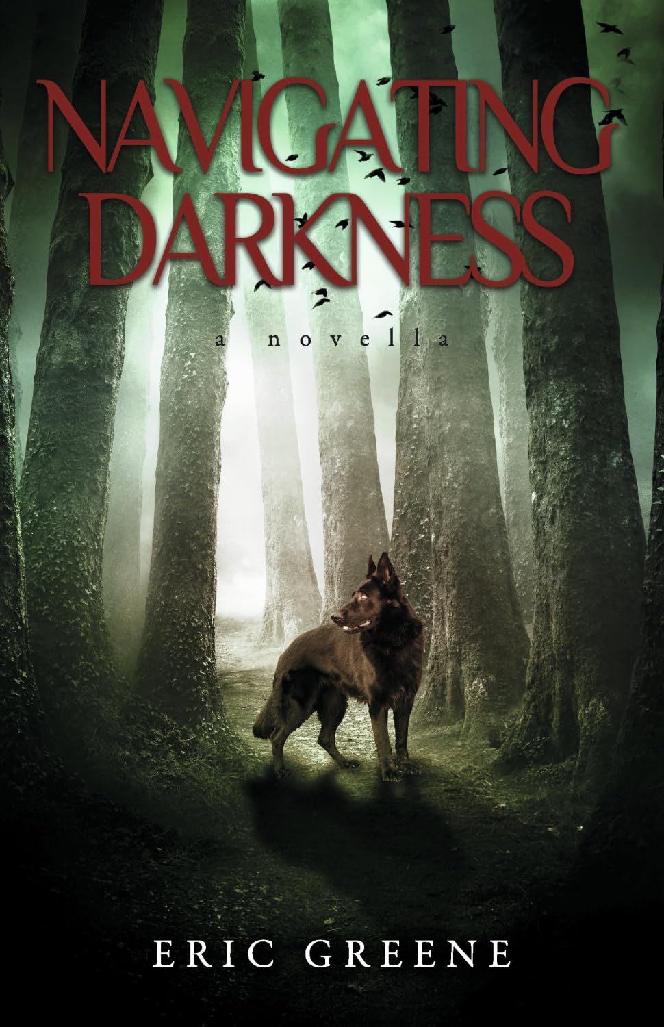 NAVIGATING DARKNESS