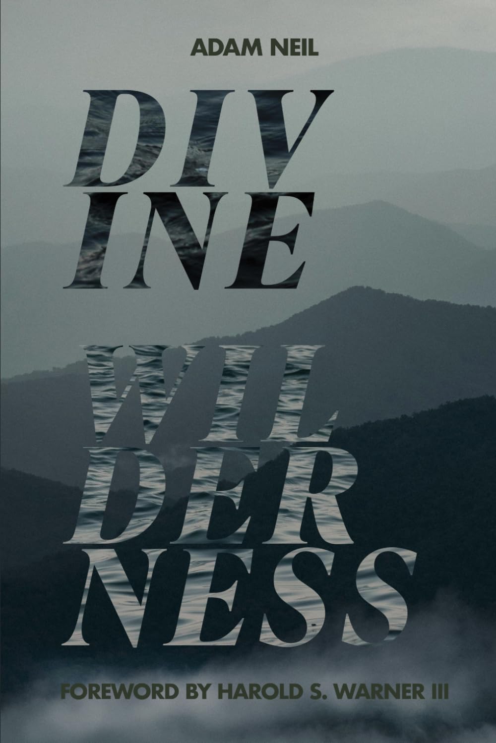 Divine Wilderness: Discovering God in Difficult Seasons