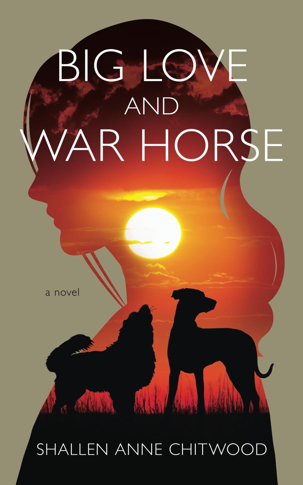 Big Love and War Horse: a novel