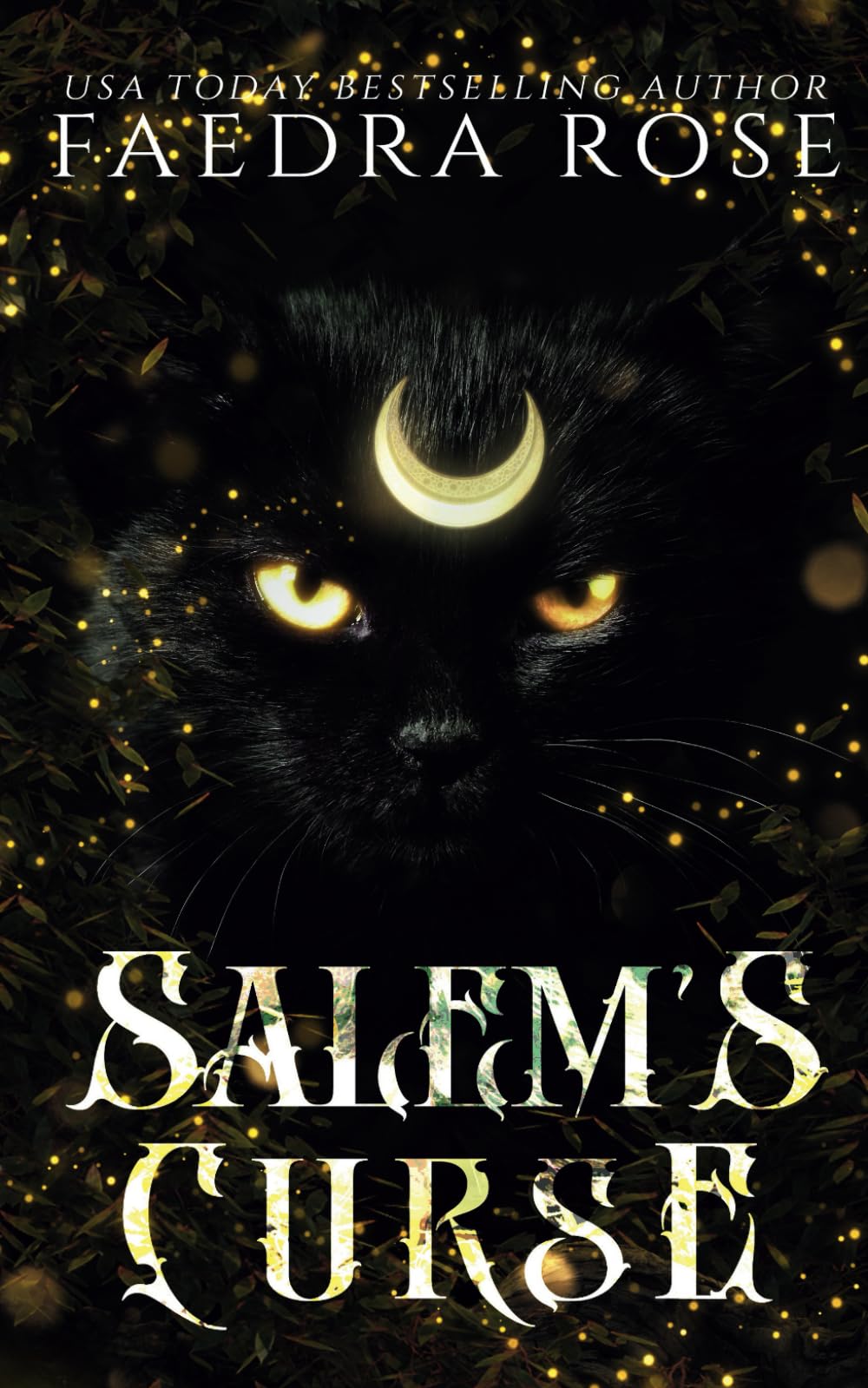Salem's Curse