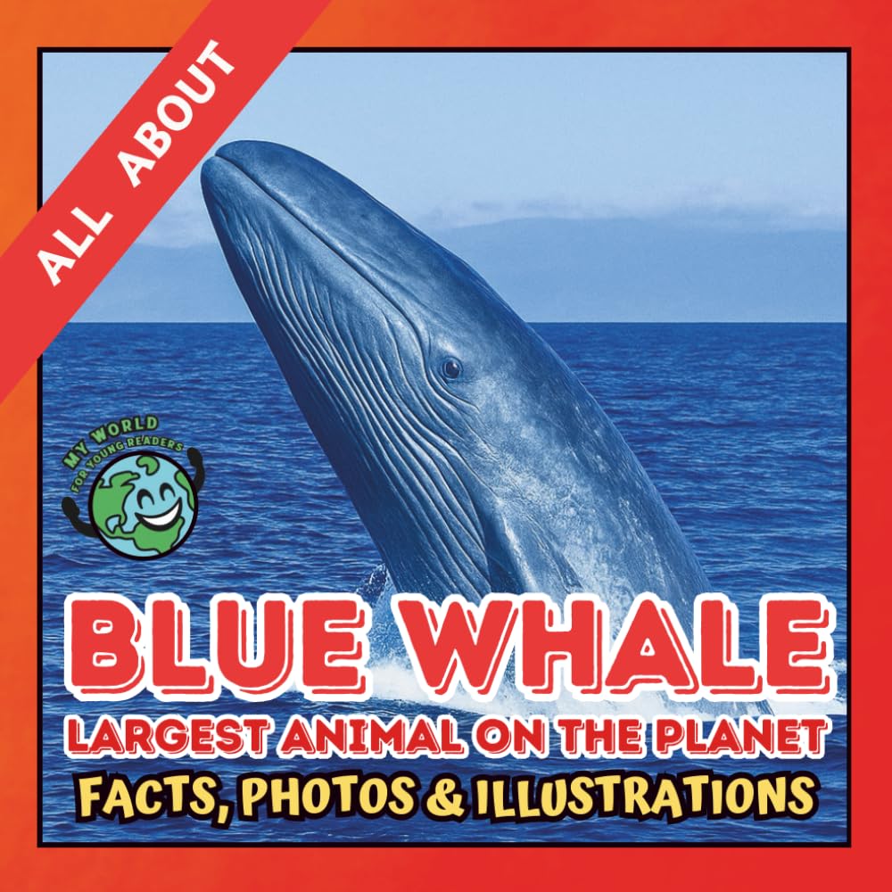 All about Blue Whale | Facts, Photos and Illustrations: A Picture Book for Kids and Toddlers | Screen-Free Infotainment (MY WORLD for YOUNG READERS)