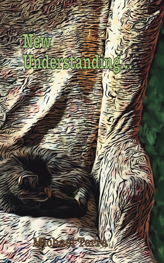 New Understanding ... - 1280
