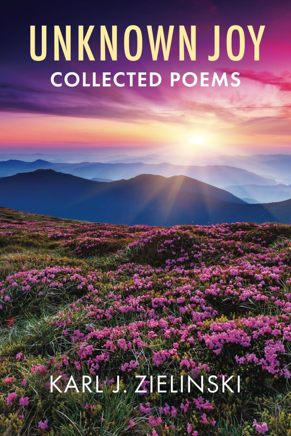 Unknown Joy: Collected Poems
