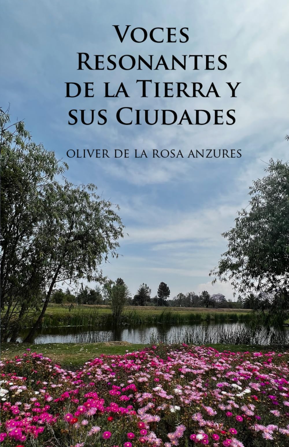 Voces Resonantes de la Tierra y sus Ciudades (Spanish Edition)