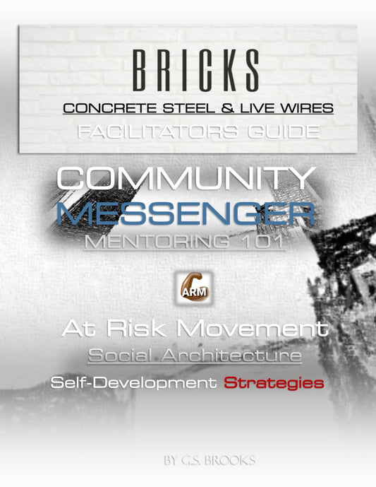 BRICKS FACILITATORS GUIDE: DISPUTE SOLUTION STRATEGIES