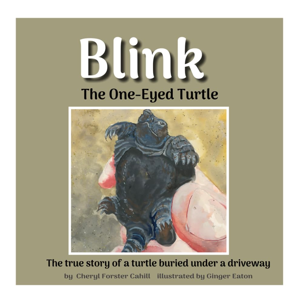 Blink: The One-Eyed Turtle