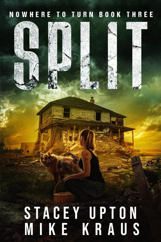 Split: Nowhere to Turn Book 3