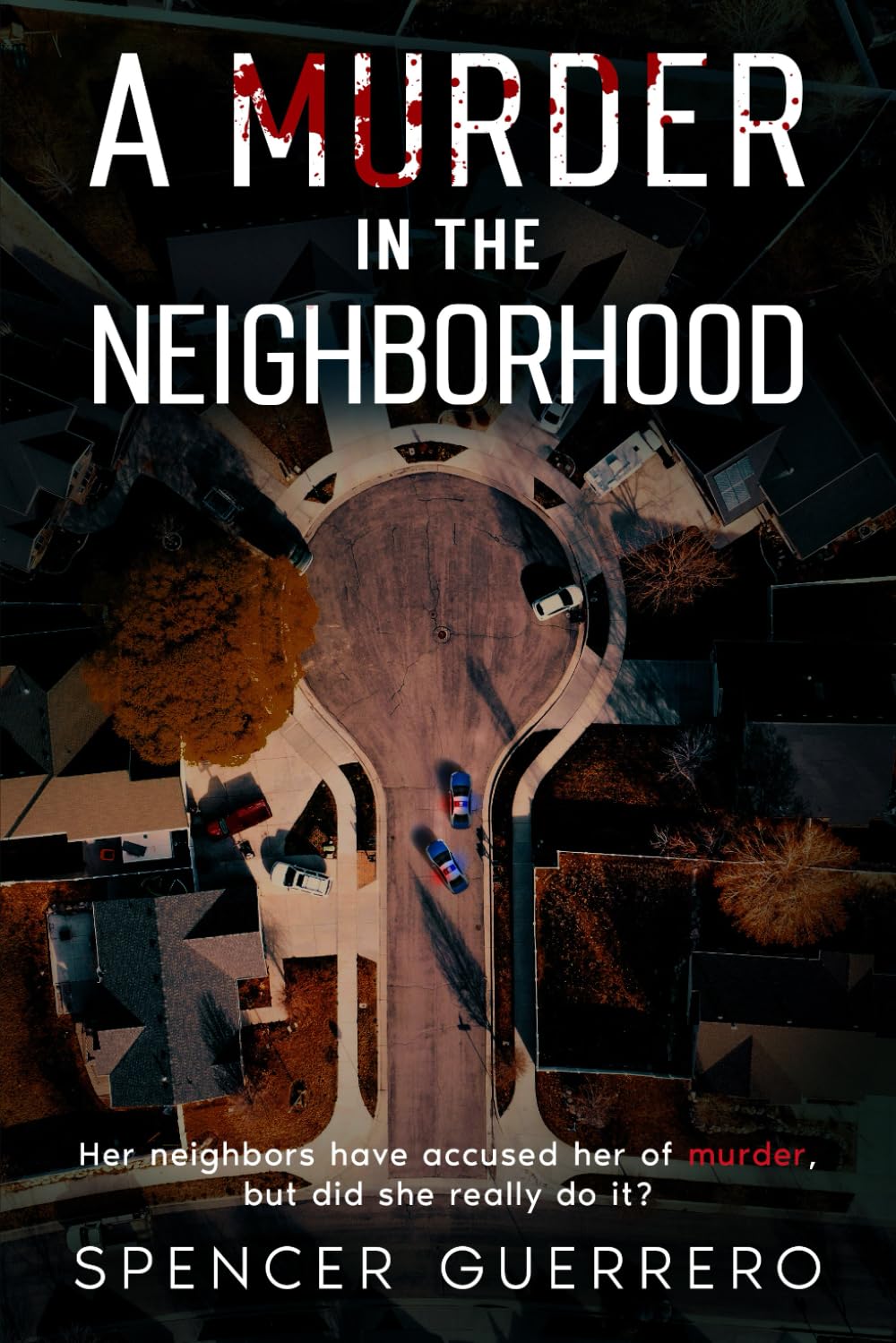 A MURDER IN THE NEIGHBORHOOD (Twisted Family Mysteries)