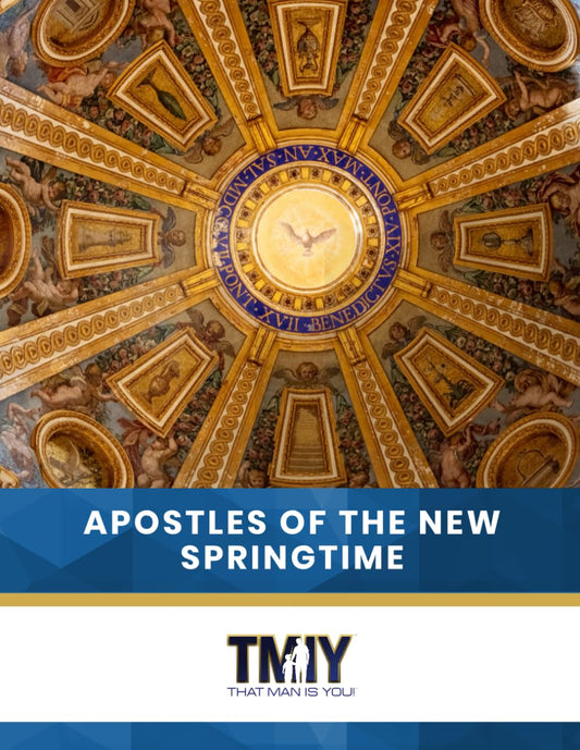 That Man Is You!: Apostles of the New Springtime - 265