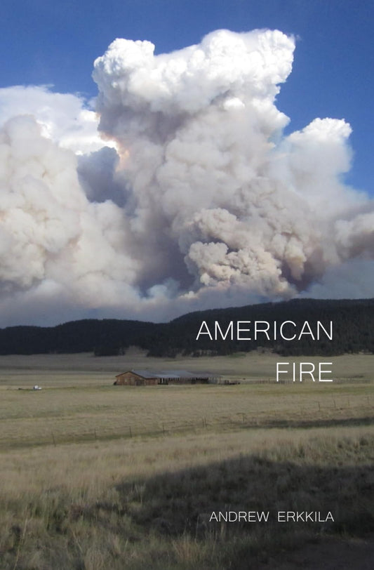 American Fire - 3313