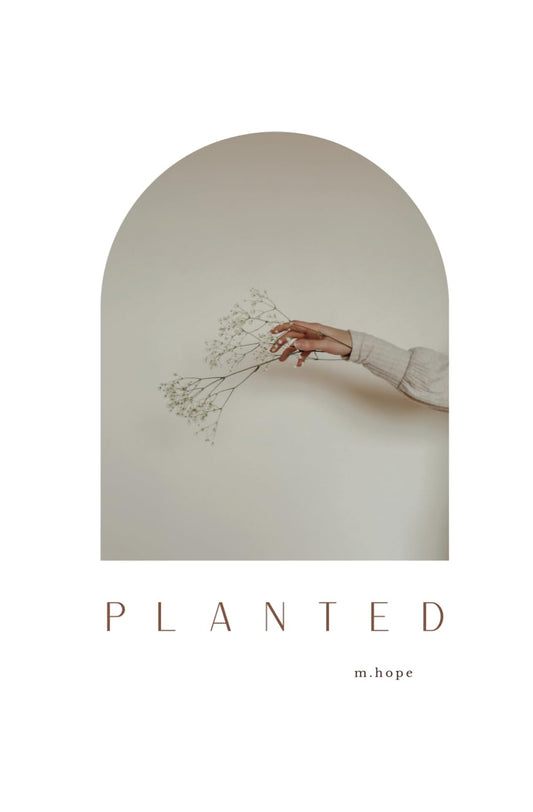 Planted - 5979