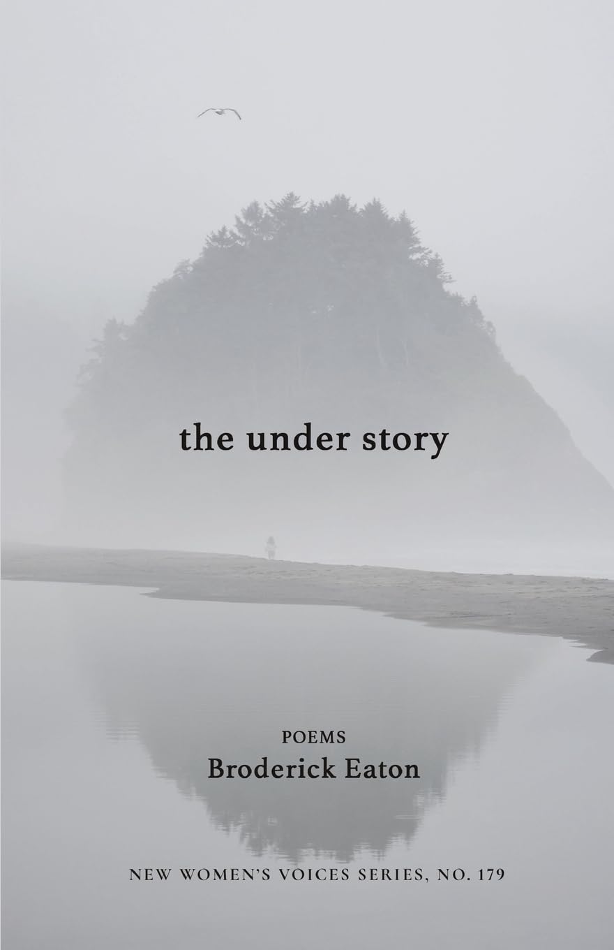 The under story (New Women's Voices)