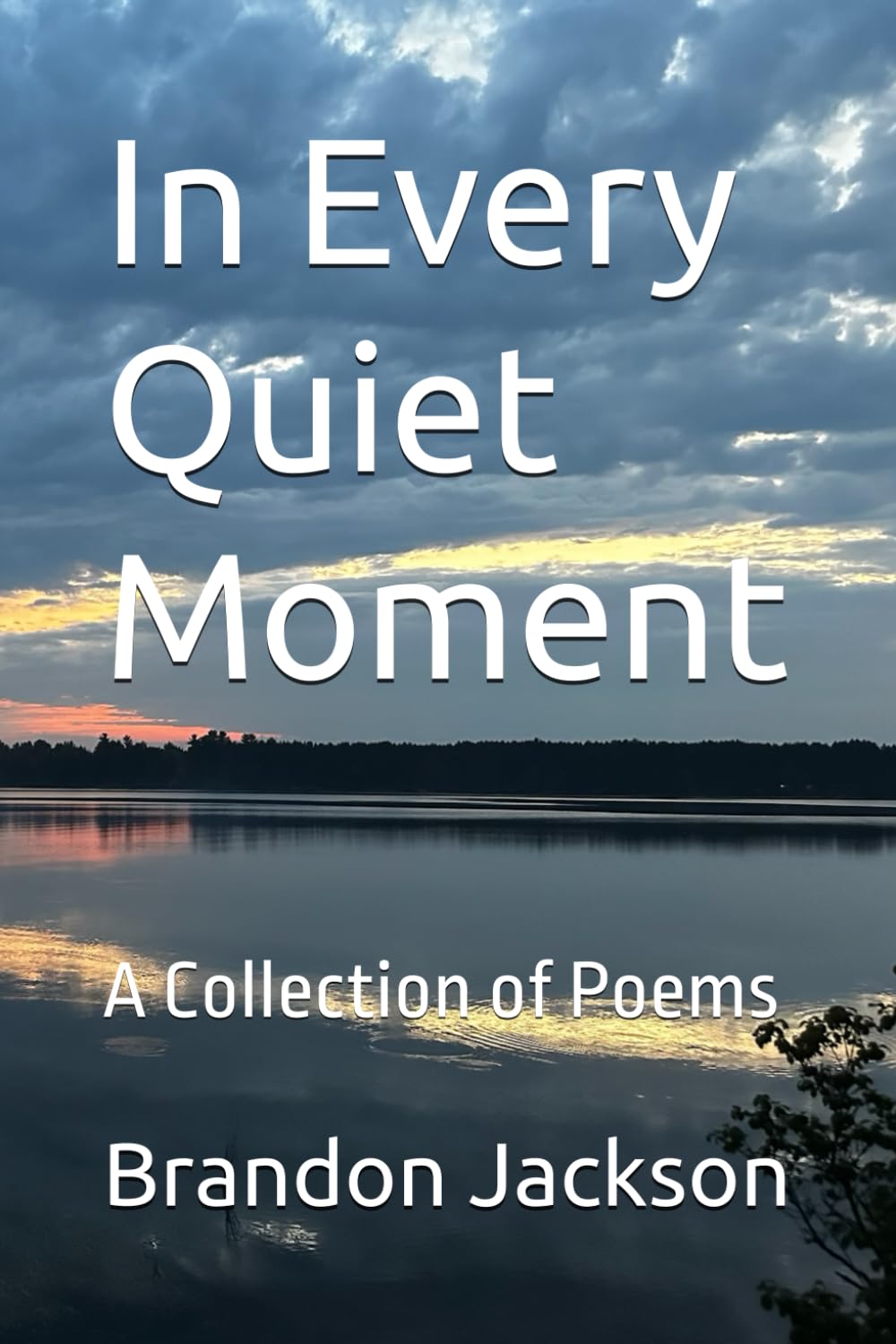 In Every Quiet Moment: A Collection of Poems
