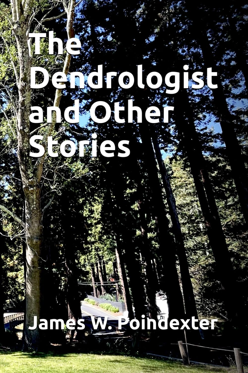 The Dendrologist and Other Stories - 9748