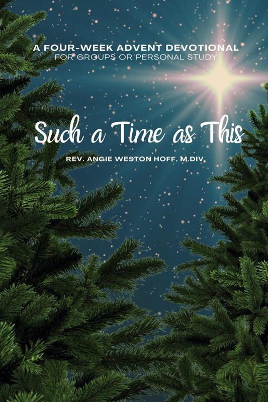 Such a Time as This: A four week Advent devotional for group or personal study - 6804