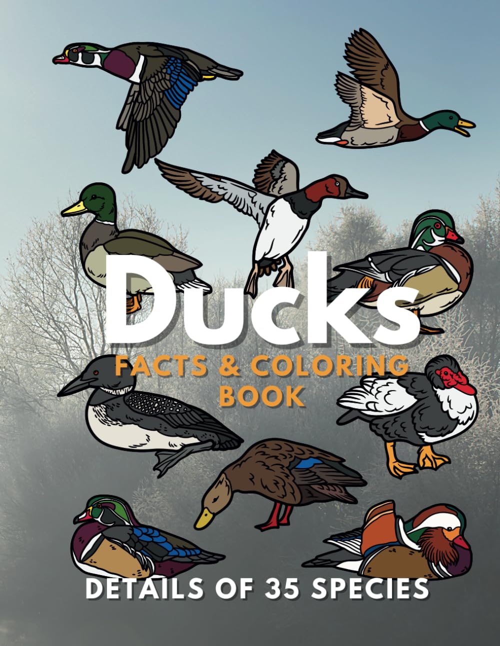 Ducks: Facts & Coloring Book: Fun Facts and Colouring Activity Book for Children Aged 2 to 16 Years (Animal Facts and Coloring) - 357
