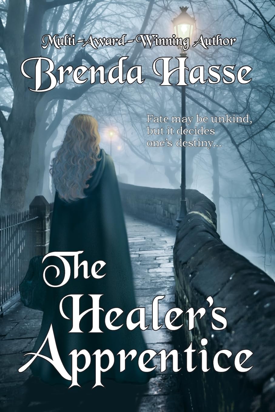 The Healer's Apprentice (The Town Witch Trilogy)