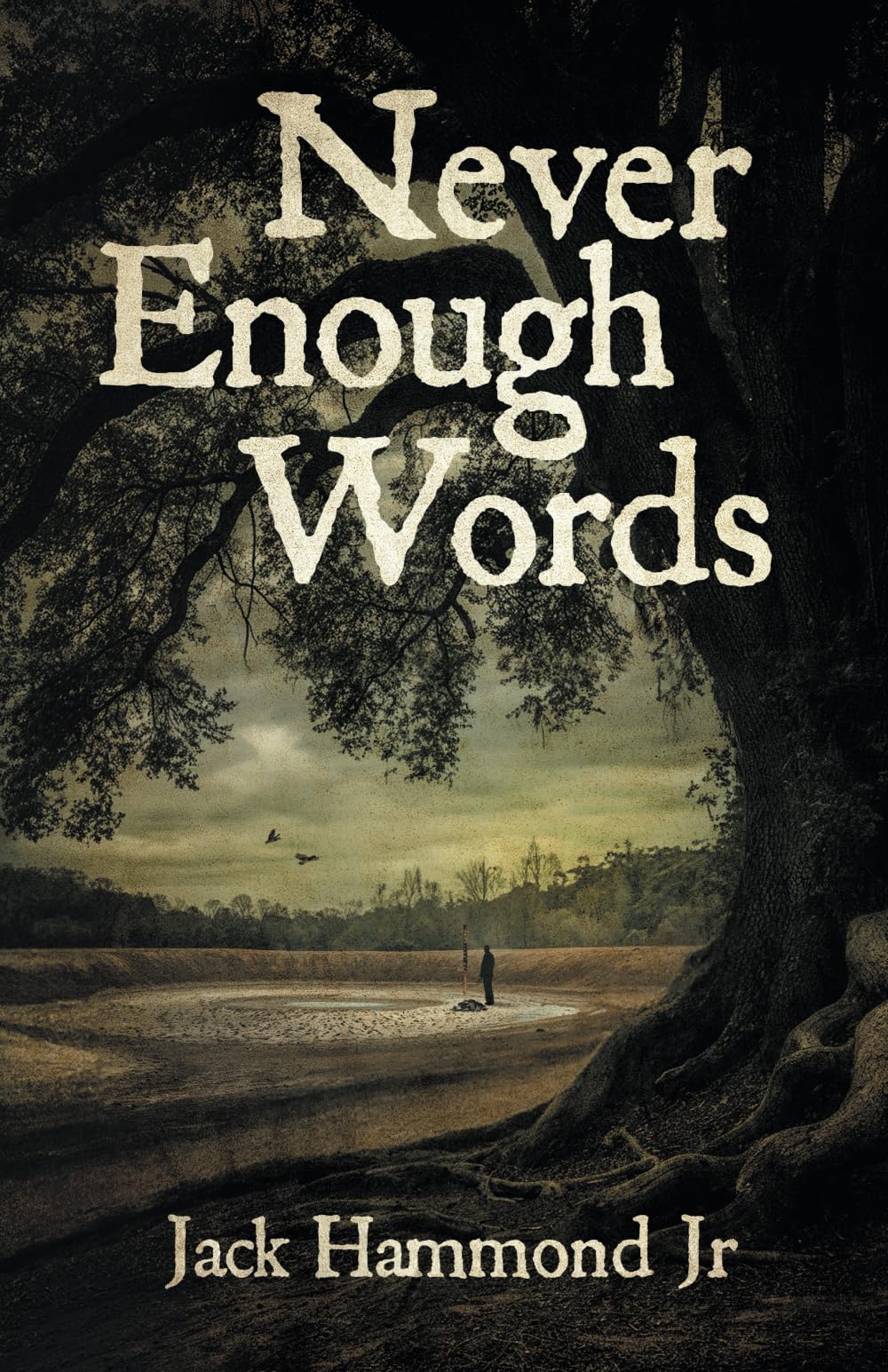 Never Enough Words