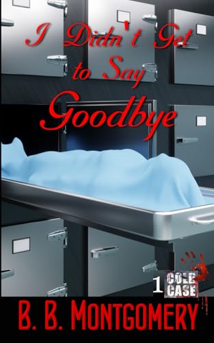 I Didn't Get to Say Goodbye (Cold Case) - 337