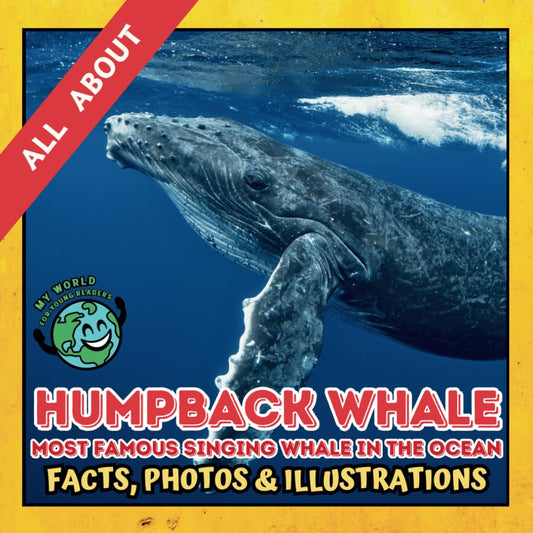 All about Humpback Whale | Facts, Photos and Illustrations: A Picture Book for Curious Children | Screen-Free Infotainment (MY WORLD for YOUNG READERS) - 2983