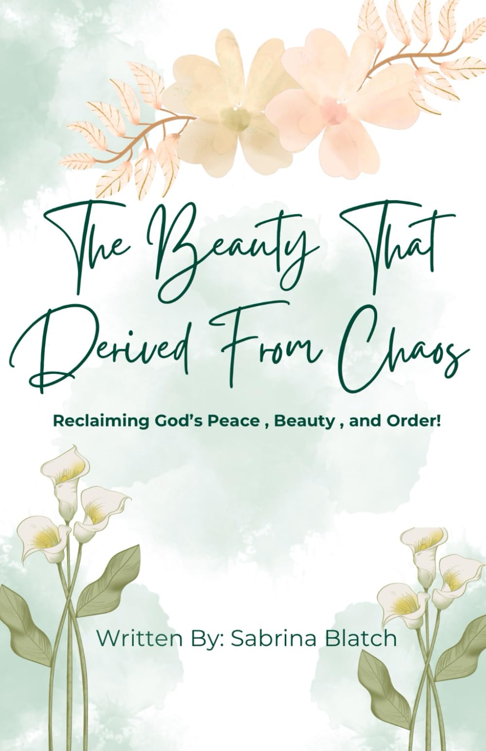 The Beauty That Derived From Chaos: Reclaiming God's Peace, Beauty, and Order - 4996