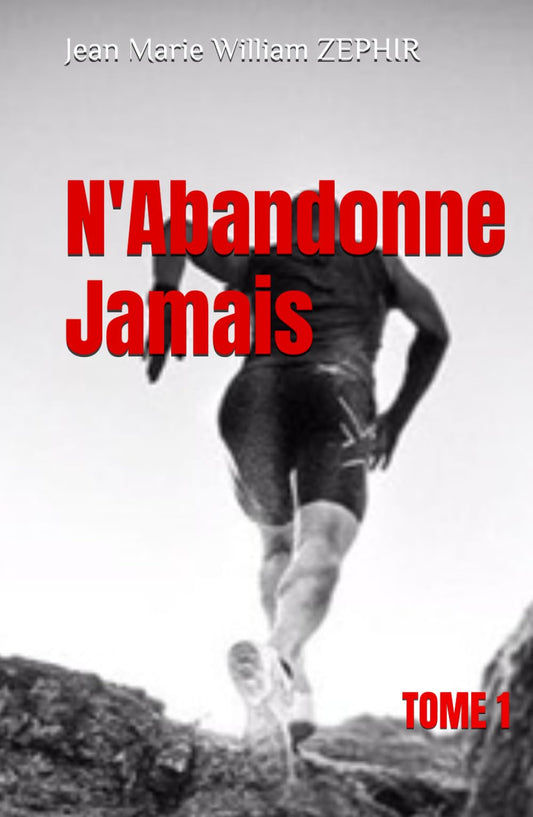 N'Abandonne Jamais: Le Chemin vers le Succès (French Edition) - 2451