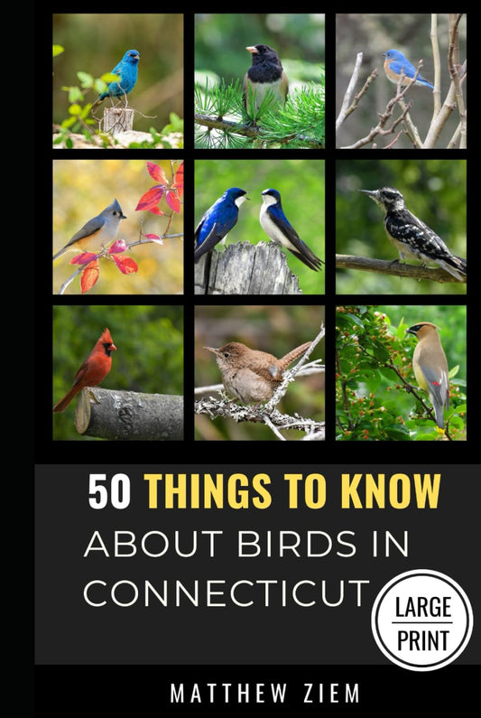 50 Things to Know About Birds in Connecticut Large Print: Birding in The “Nutmeg State” (50 Things to Know About Birds - Large Print Series) - 7234