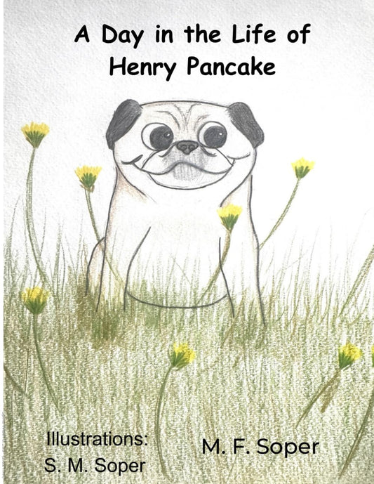A Day in the Life of Henry Pancake - 5717