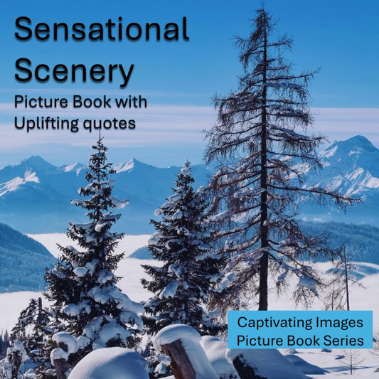 Sensational Scenery: Picture Book With Uplifting Quotes for Seniors with Dementia and Alzheimer's (Captivating Images for Seniors with Dementia) - 719