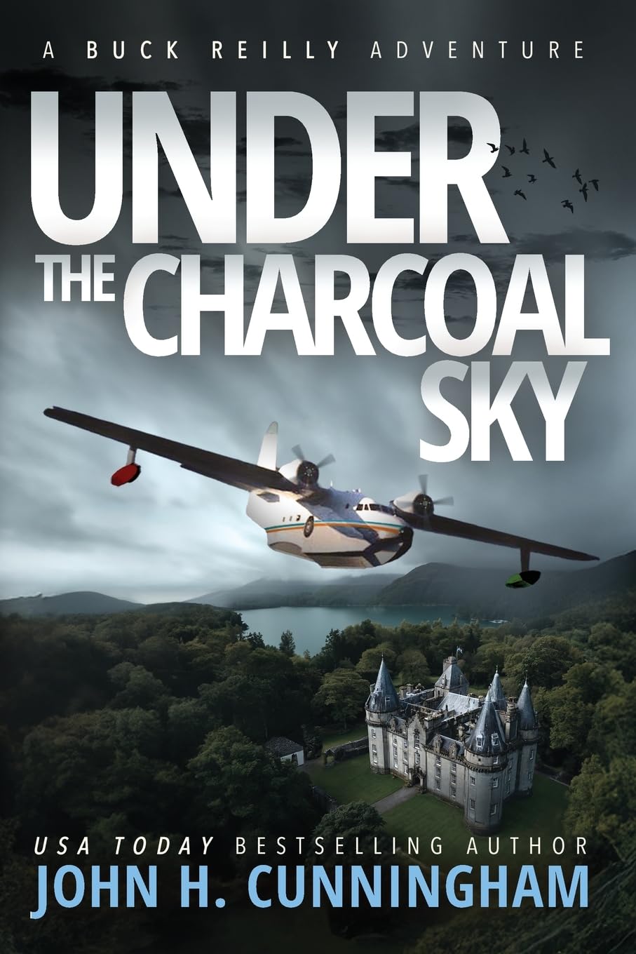 Under the Charcoal Sky
