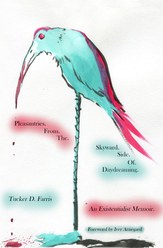 Pleasantries From the Skyward Side of Daydreaming: An Existentialist Memoir