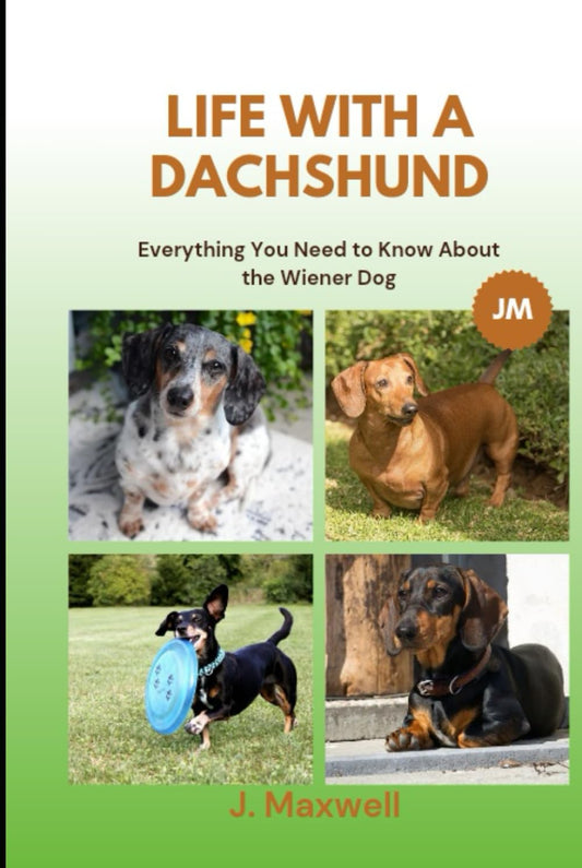 Life with a Dachshund: Everything You Need to Know About the Wiener Dog - 7723
