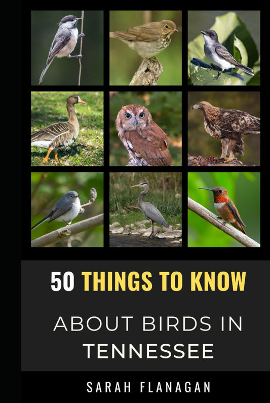 50 Things to Know About Birds in Tennessee: Birding in the Volunteer State (50 Things to Know About Birds- United States) - 174