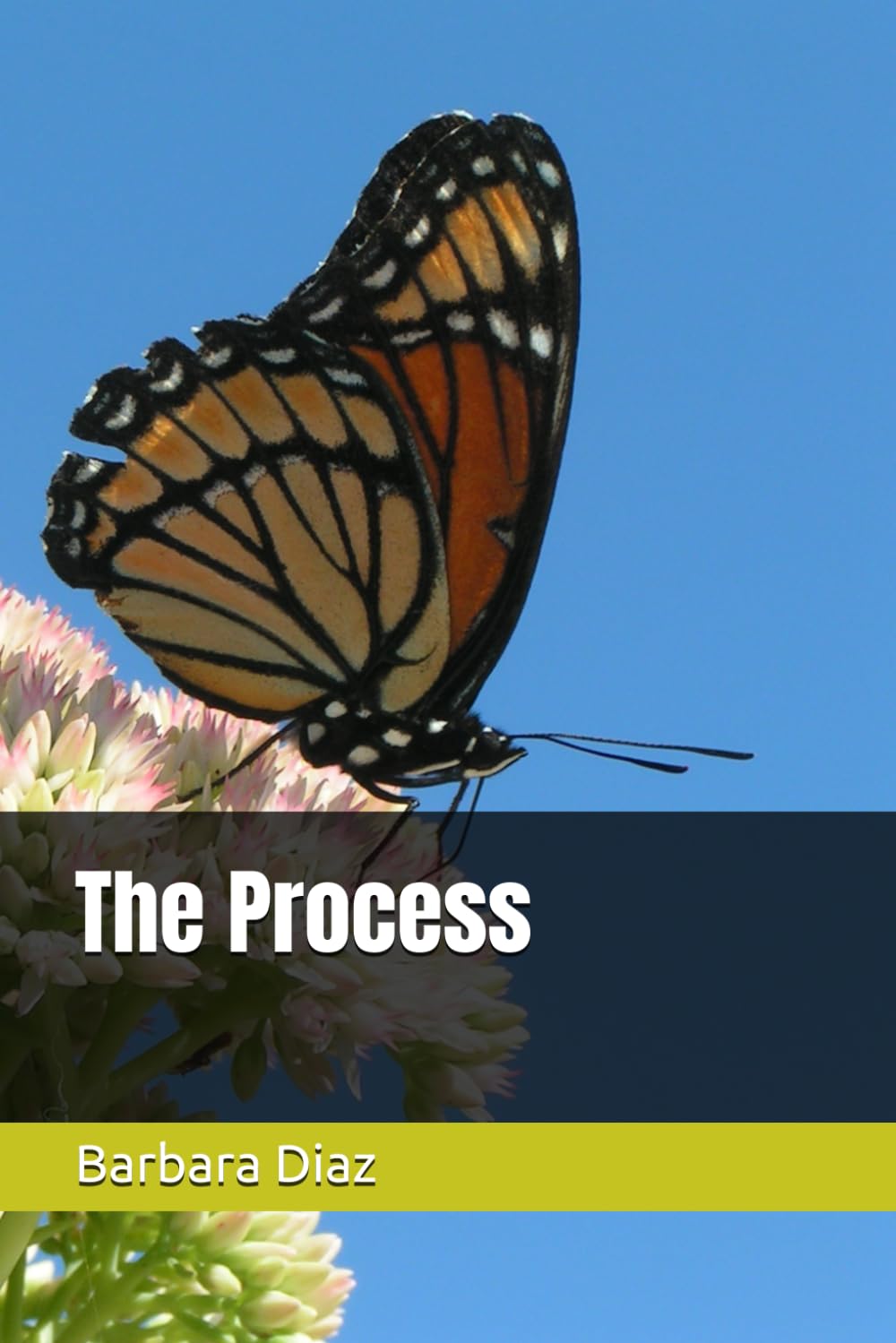 The Process