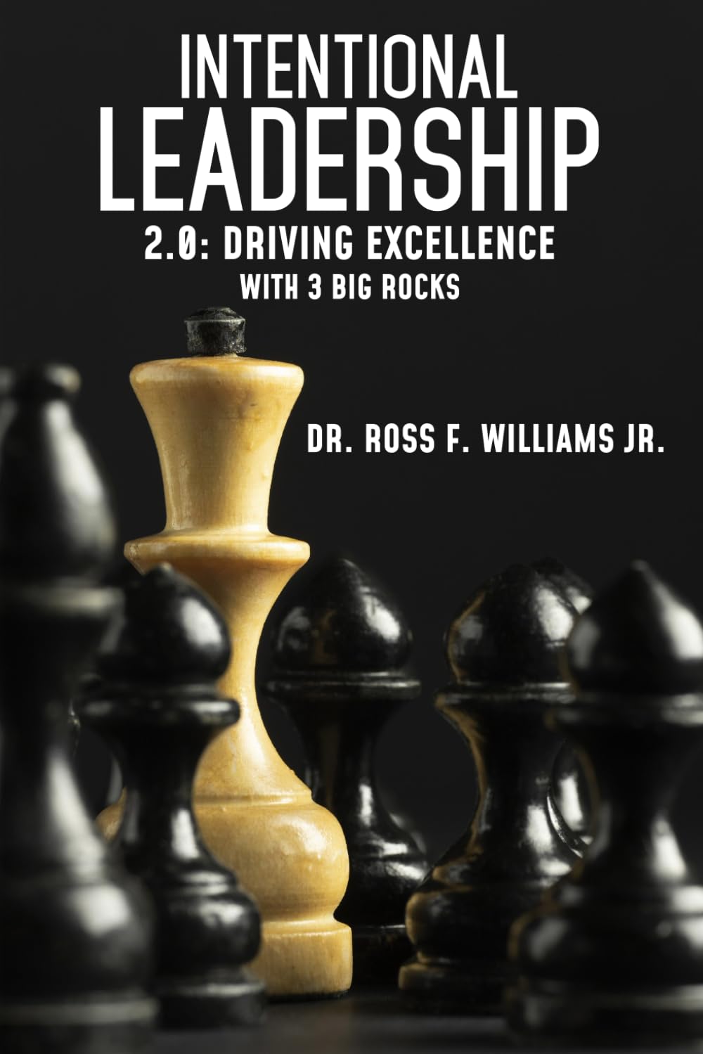 Intentional Leadership 2.0: Driving Excellence with 3 BIG Rocks