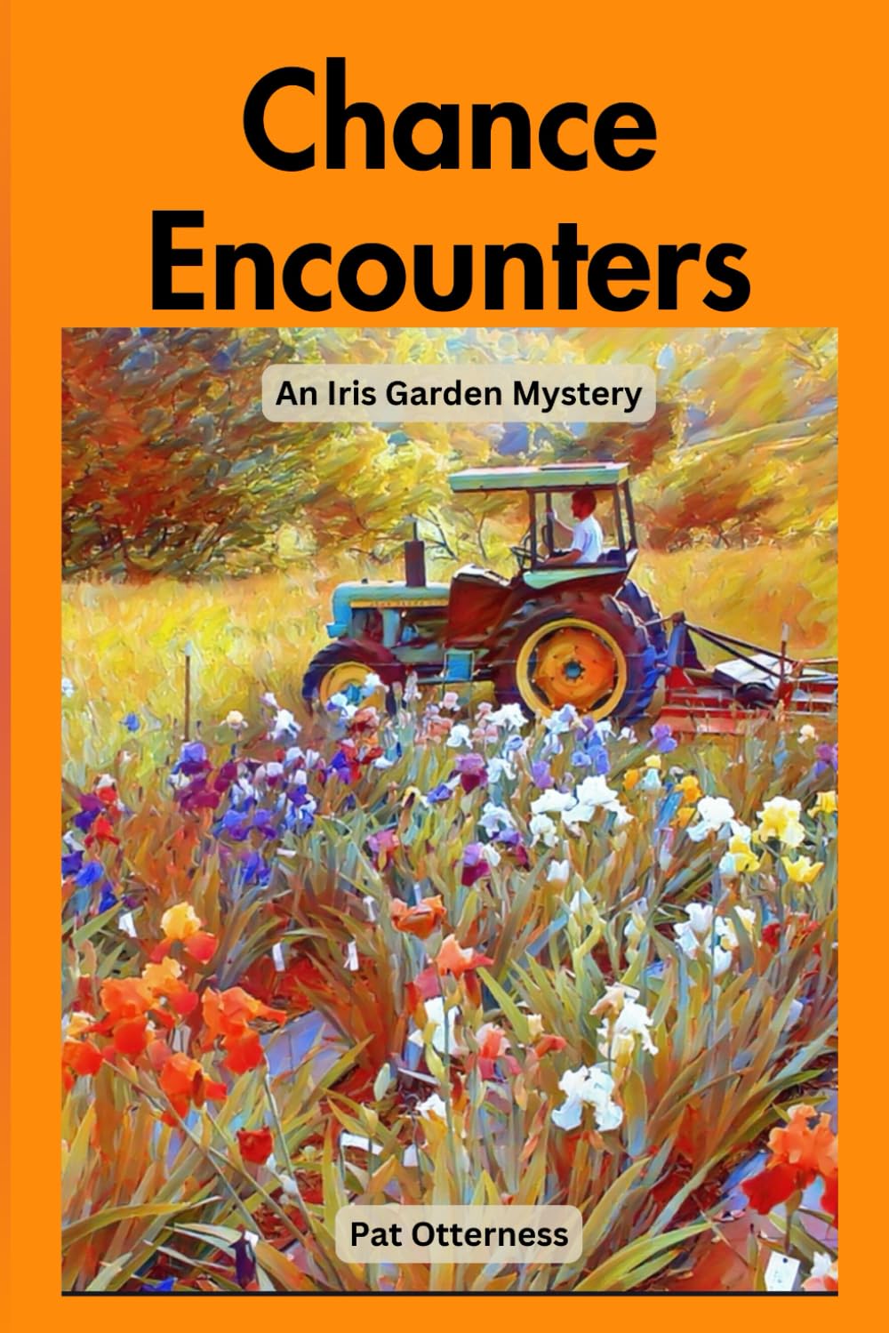 Chance Encounters: An Iris Garden Mystery