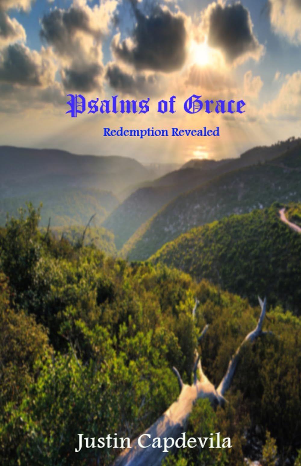 PSALMS OF GRACE: WHAT TO DO IF THE CHURCH GOES INTO THE GREAT TRIBULATION / WHAT TO DO IF YOU ARE LEFT BEHIND IN THE RAPTURE.