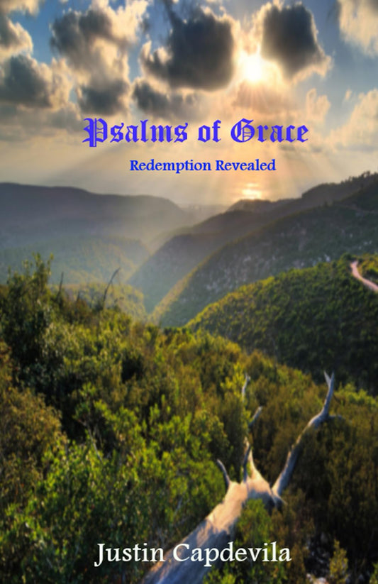 PSALMS OF GRACE: WHAT TO DO IF THE CHURCH GOES INTO THE GREAT TRIBULATION / WHAT TO DO IF YOU ARE LEFT BEHIND IN THE RAPTURE.